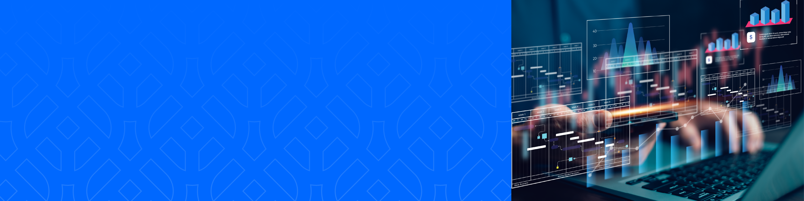 SAS Viya: Integrated AI and Analytics Platform for the Future - Mitra ...